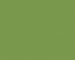 Зелёный киви U626